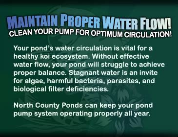 Pond Pump Maintenance - North County San Diego Koi Pond Maintenance ...