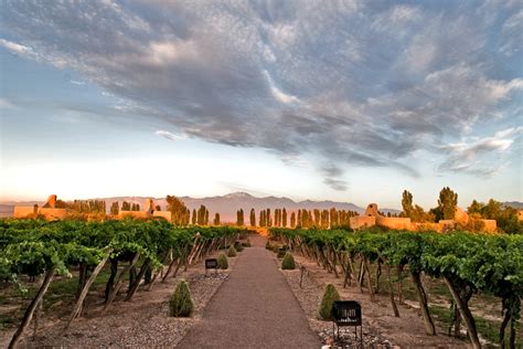 Insider's Travel Guide to Mendoza, Argentina's Wine Country