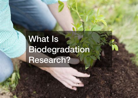 What Is Biodegradation Research? - Free Encyclopedia Online