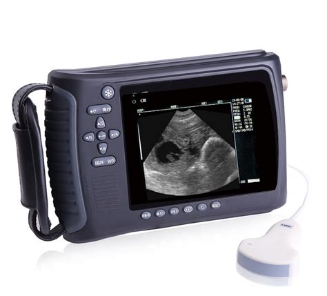 (PL-3018V) Veterinary Handheld Ultrasound Scanner Price - China Veterinary Handheld Ultrasound ...