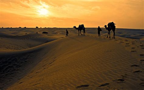 Famous Deserts of Pakistan: Thar, Cholistan, Thal & More | Zameen Blog