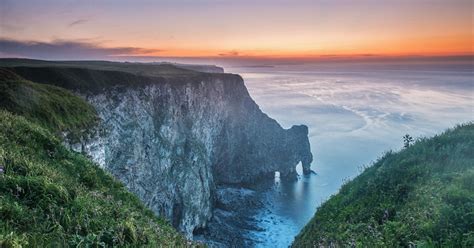 RSPB Bempton Cliffs - East Yorkshire