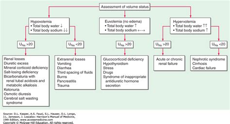 Hyponatremia In Nephrotic Syndrome