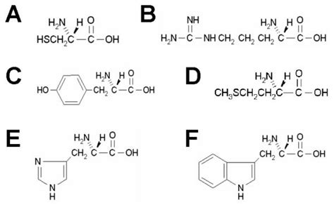 Six amino acids which contain chemically reactive side chains:... | Download Scientific Diagram