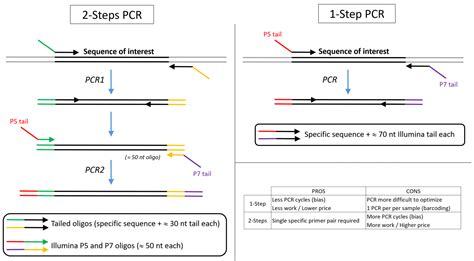 Illumina Sequencing library preparation – Lausanne Genomic Technologies ...