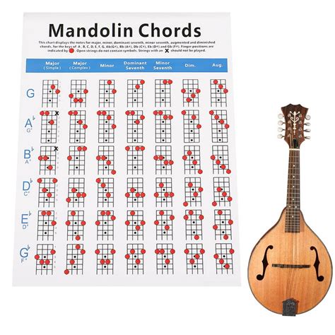 SPRING PARK Mandolin Chord Chart, Mandolin Beginner Practice Chord Chart Fretboard Instructional ...