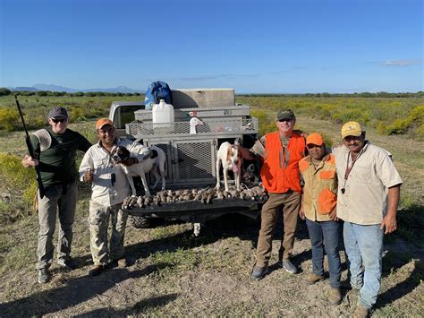 Wild Quail Hunting in Mexico | Rancho Ala Blanca