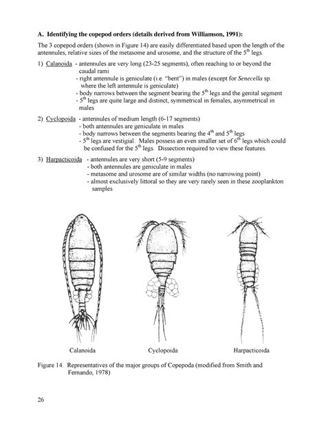 Zooplankton-Guide-to-Taxonomy 37 - A. Identifying the copepod orders ...