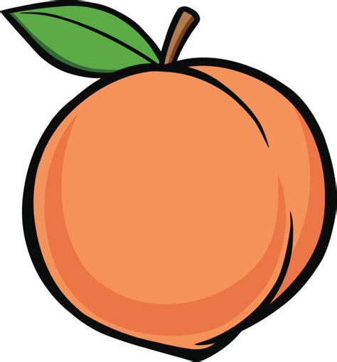 Peaches Clip Art, Vector Images & Illustrations - iStock