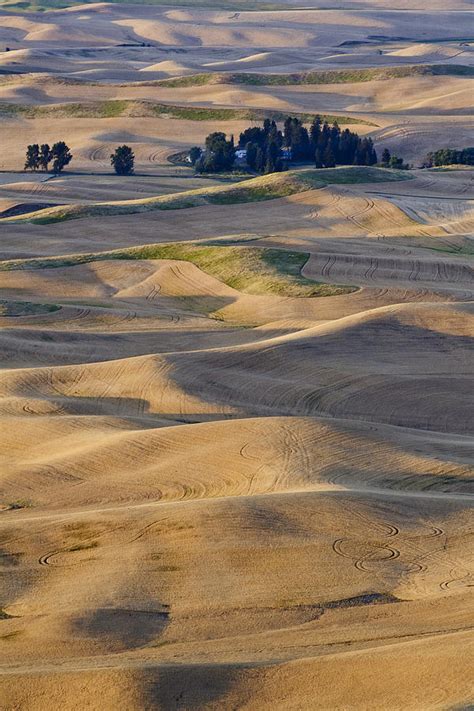 Palouse Harvest Photograph by Tony Locke - Pixels