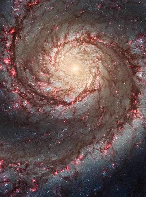 James Webb telescope captures clearest image ever of Whirlpool galaxy ...