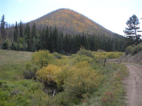 CSMS GEOLOGY POST: SIGNAL BUTTE: A GEOLOGICAL ODDITY