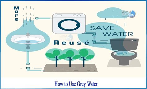 How to reuse grey water - Netsol Water