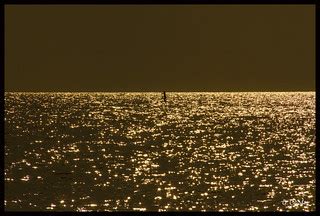 Sparkles... | Pompano Beach, FL | Grace Courbis | Flickr
