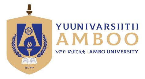 Ambo University