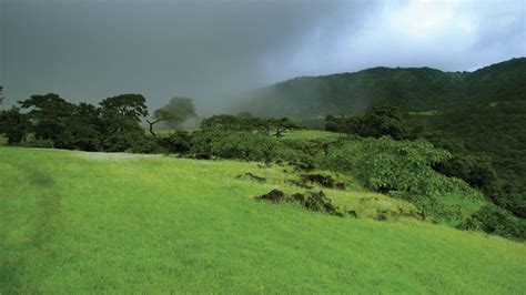 Amba Ghat - Western Ghat - World Heritage Forest Area