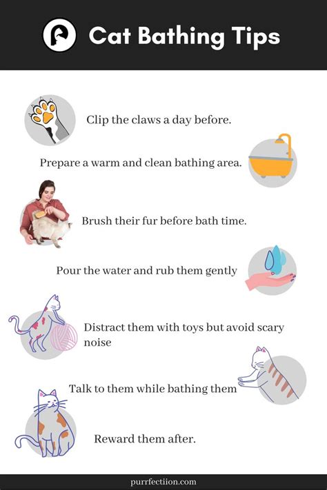 a poster with instructions on how to use cat bathing tips for cats and kittens