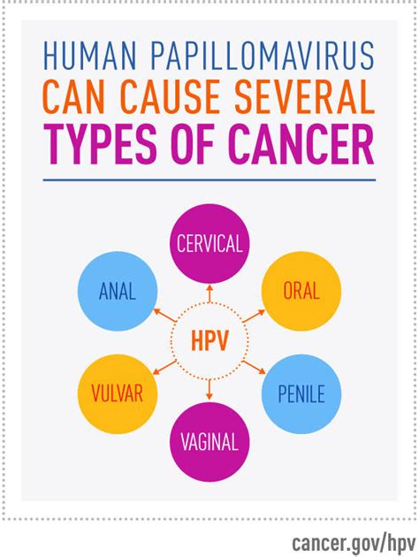 HPV and Cancer - NCI