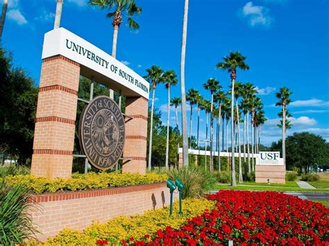 U.S. News Ranks USF Among Top 50 Public Universities In Nation | Tampa, FL Patch