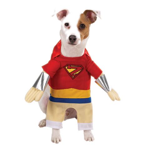 Superhero Dog Halloween Costume by Casual Canine | BaxterBoo