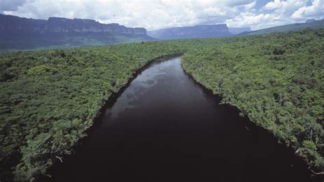 Which countries border Brazil? | Guyana, Brazil, Border