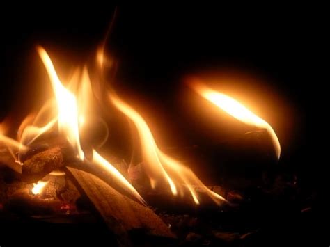 Free fire flames Stock Photo - FreeImages.com