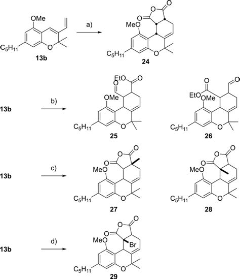 Diels‐Alder reactions with diene 13 b: a) maleic anhydride, ACN, 0 °C... | Download Scientific ...