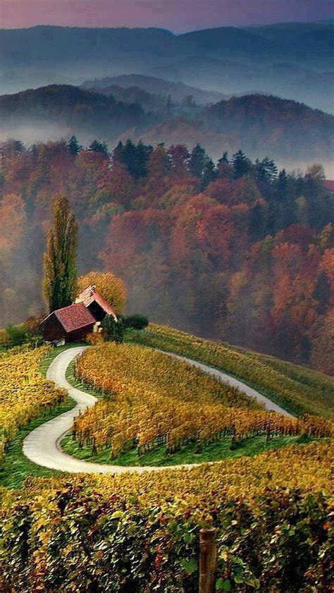 Love Road, autumn, heart, nature, HD phone wallpaper | Peakpx