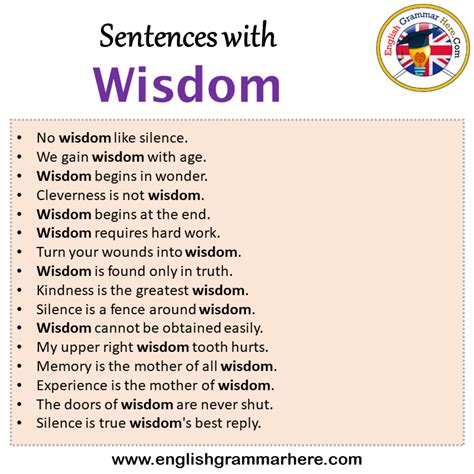 Sentences with Wisdom, Wisdom in a Sentence in English, Sentences For Wisdom - English Grammar Here