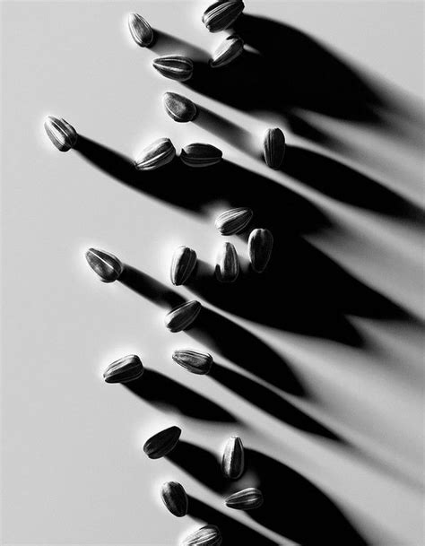 55 Amazing Abstract Photography For Your Guide While Studying Photography | DesignLove… | Light ...