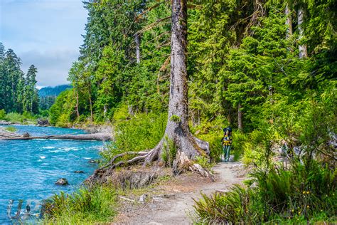 Hoh Rainforest Trail Archives - Forest2Sea Adventure Photography