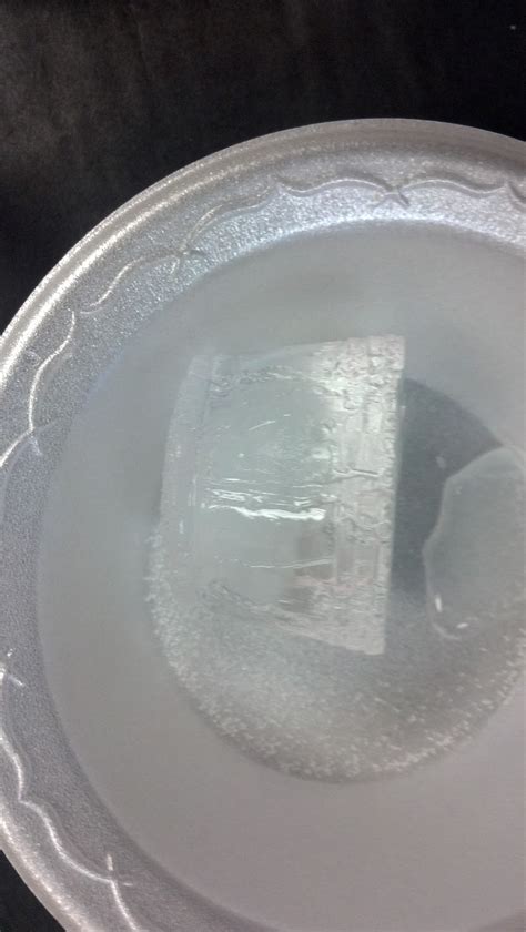 Diving Into Learning: Ice Melting- Science Activity