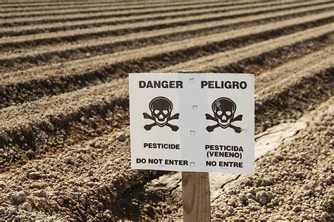 Pesticide