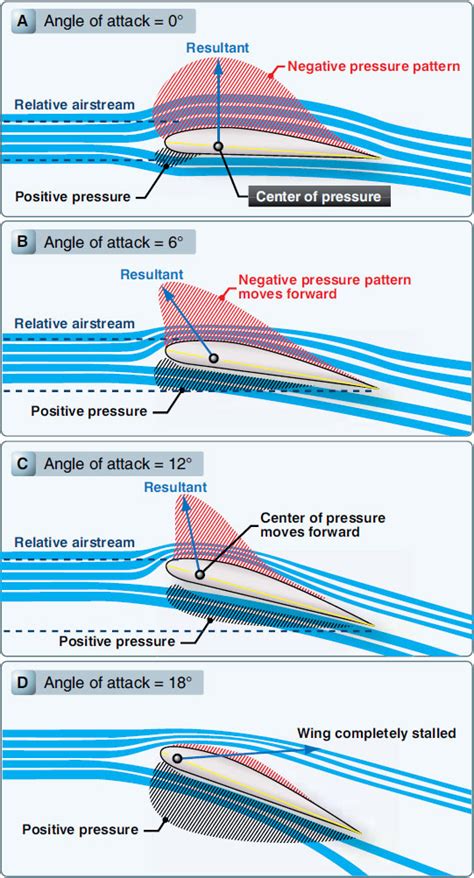 Evolution Of The Airfoil Airfoil Aircraft Design Aircraft Wing | Images and Photos finder