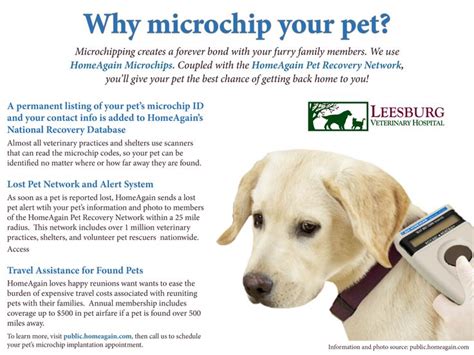 9 best images about Importance of Pet Microchips on Pinterest | It is, Home and We