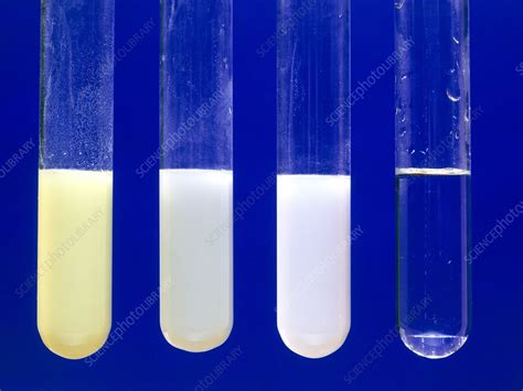 Silver halide precipitates - Stock Image - C002/3478 - Science Photo Library