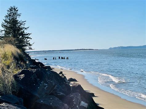 Explore the Coast at these 7 Long Beach, Washington Camping Sites