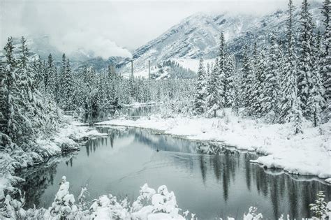 [Winter] Somewhere in the snowy wilderness of Alberta, Canada [2048×1365] Photographed by ...