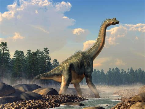 Largest dinosaur skeleton in Europe discovered in Portugal - Earth.com