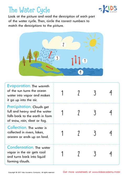 The Water Cycle Worksheet: Free Printout for Kids