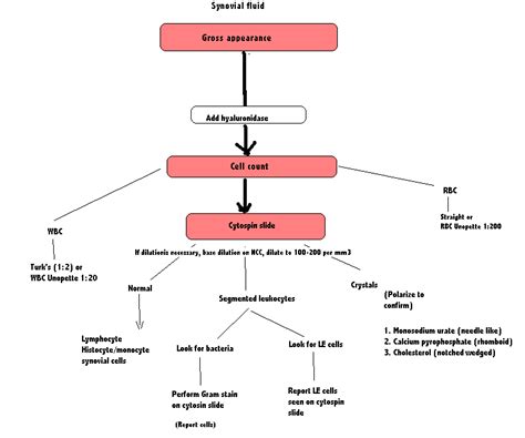 Figure: Examination of synovial fluid | Download Scientific Diagram