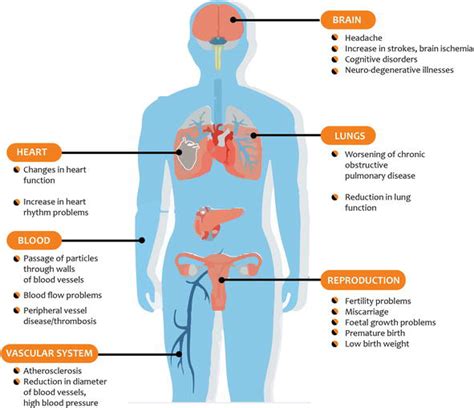 Environmental Pollution with Heavy Metals: A Public Health Concern | IntechOpen