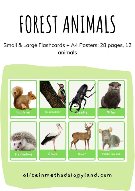 Toys Toys & Games Learning & School Jungle Animals Montessori Flashcards & Poster Printables ...