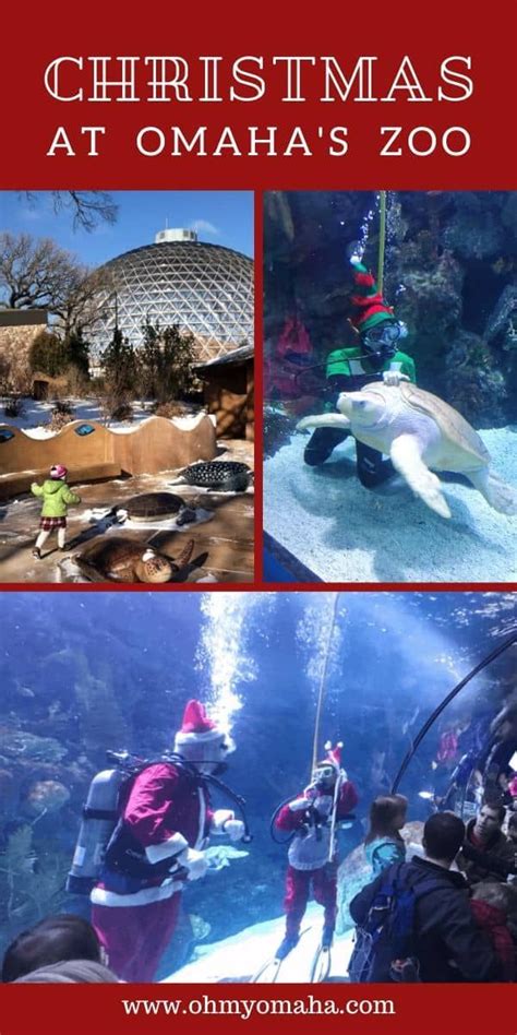 Christmas At The Omaha Zoo | Omaha zoo, Travel nebraska, Midwest travel