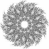 Mushroom mandala With Spotted mushrooms And Grass Ornate coloring Page  sketch template