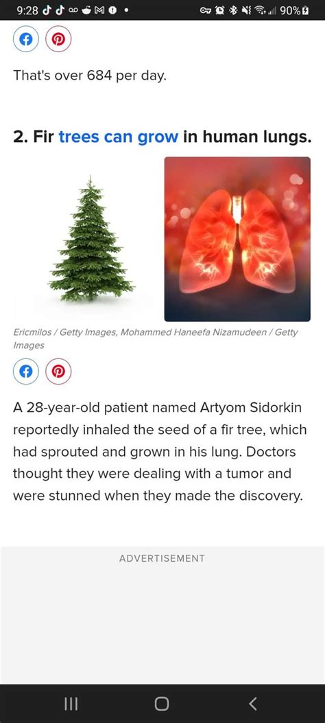 did you know that a fir tree can grow in human lungs click on picture for more info : r ...