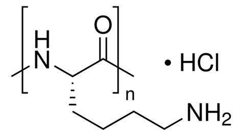 Poly-L-lysine hydrochloride mol wt >30,000 | Sigma-Aldrich