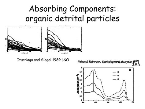 PPT - Lecture 3 IOPs: Absorption physics and absorbing materials PowerPoint Presentation - ID ...