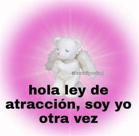 a white teddy bear sitting in front of a pink background with the words hola levy de atraccion ...