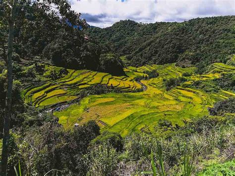 Ifugao State University